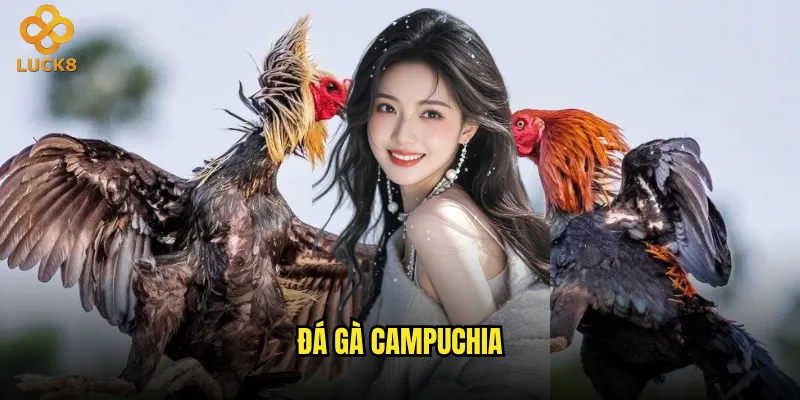 đá gà Campuchia