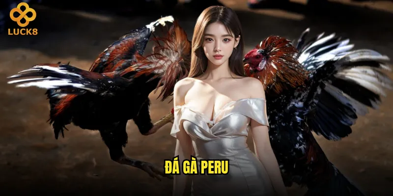 đá gà Peru