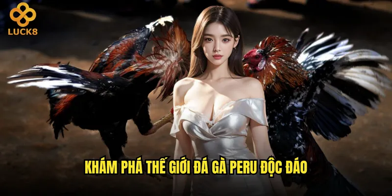 Đá gà Peru Luck8 có đáng để đầu tư thời gian không? 2 Khám phá thế giới đá gà Peru độc đáo