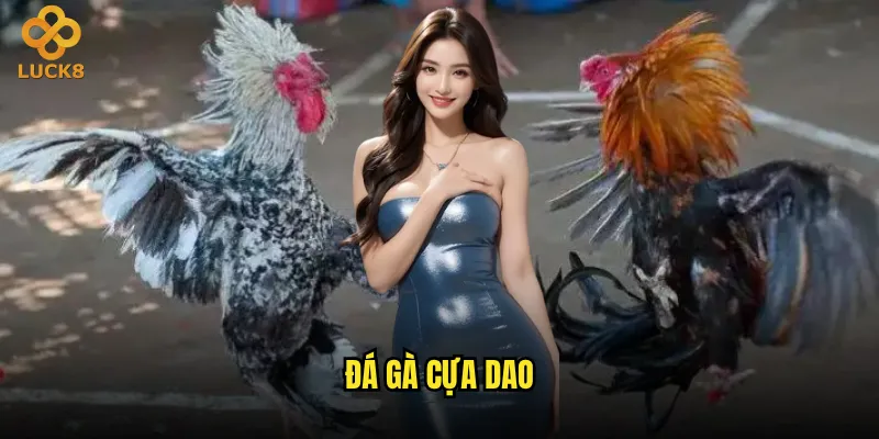 đá gà cựa dao