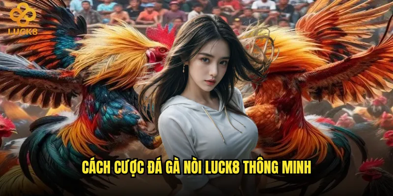 Đá gà nòi tại Luck8 có phải lựa chọn tốt nhất cho người mới? 3 Cách cược đá gà nòi Luck8 thông minh