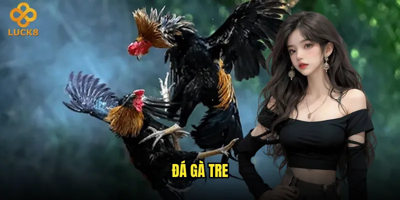 đá gà tre