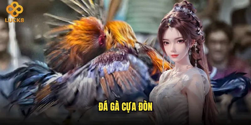 đá gà cựa đòn